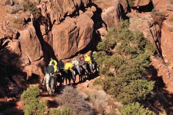 Mulas trazem turistas do fundo do Grand Canyon, no Arizona, nos Estados Unidos